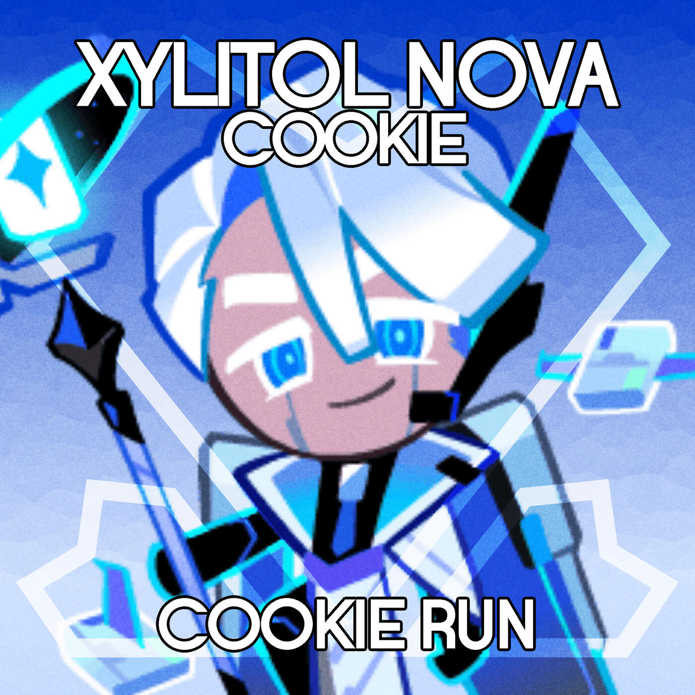 Xylitol Nova Cookie