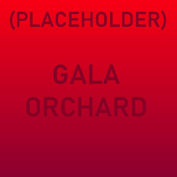 Gala Orchard